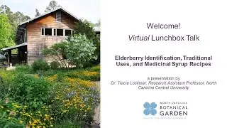 Virtual Lunchbox Talk: Elderberry Identification, Traditional Uses, and Medicinal Syrup Recipes