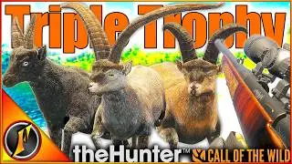 Тройной трофейный ибекс Cuatro Colinas! | Бриллианты + Меланистический! | Зов дикой природы
