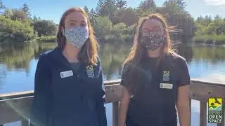 Seasons of Open Space: Finding Fall at Alpine Pond