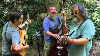 Billy Strings & Don Julin - Albino Skunk (Live on KEXP @Pickathon)