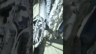 🧼Satisfying Foam Bike Cleaning😍 #neatflow #bikewash #bike #bikewashing #neatflow #mtblife *