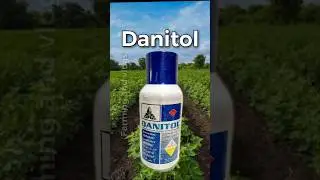 🔥Danitol🔥Sumitomo|Fenpropathrin10%EC|insecticide|#sumitomo #insecticide #farming #agriculture #sorts