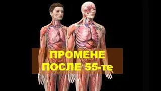 PAŽNJA NAKON 55 - te GODINE (PROMENE U TELU), Vesna Biorac