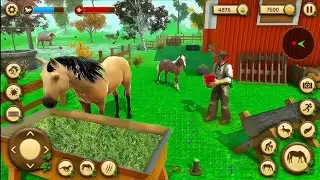 HORSE SIMULATOR SURVIVAL GAMES ANDRIOD GAMEPLAY #3