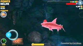 Hungry Shark Evolution Find Big Daddy (w/ Map)