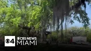 FSU student in class during the shooting said they sheltered in place