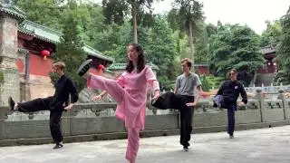 武當太極拳 Wu Dang Zhang San Feng Tai Ji 28@de Purple Heaven Palace on Wudang Mountains in Hubei of China