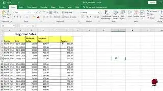MS Excel 2019 Home Tab-Cell Group in English