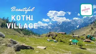 Exploring Kothi Village near Manali | Solang Valley | Vashisht Temple #manali #himachalpradesh