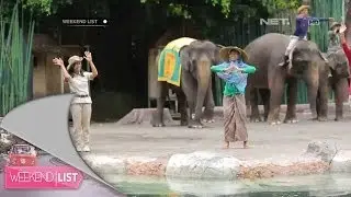 Weekend List-Bali Marine - Safari Park