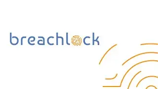 Quick Overview of the Network Scanning Module