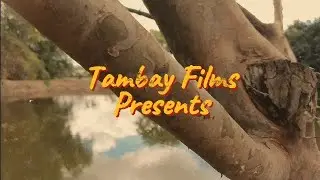 Tara tambay! (Tambay camping part 2 ASMR)