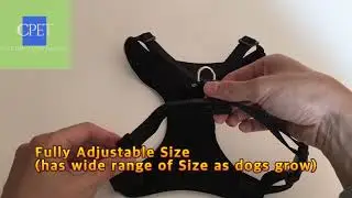 [C.PET] Personalized Denim Dog Harness(& Matching Leash)-  4 Style Options