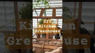 Do it yourself kitchen greenhouse!! Using dollar store picture frames! #diy #homemade #home