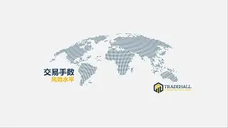 交易手数 风险水平