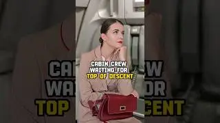 Cabin Crew perspective on the best part of the flight ✨️ #flightattendant #cabincrew #aviationmemes