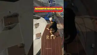 Massive Gap In Skate.🦈 #skate #gaming #gamingshorts #trending #videogames #skateboarding #games