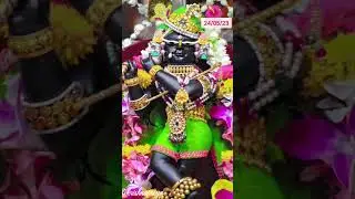 🌹🌹Today's Divine Darshan of Shri Radharaman Lal ju 🌹🌹#vrindavandham #krishna #radha #radharaman