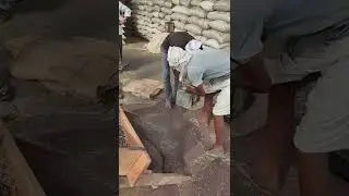 Rajasthan mustard Mandi