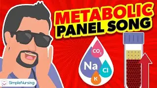 Basic Metabolic Panel BMP Song | Nurse Mike's Memory Music for Nursing Students