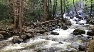 Bridalveil Creek