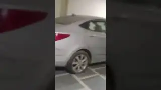 Verna fluidic