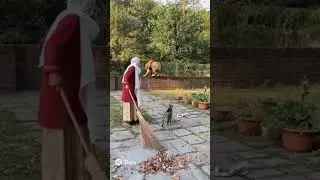 the Lion AI generated video #viarlshort #funny #aigenerated #foryou
