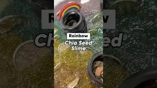How To Make Chia Seed Slime Sensory Play Rainbow Activity St. Patrick&rsquo;s Day🍀 #sensoryplay #shorts