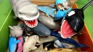 Shark Toy And Whale Toy Collection for kids| Box of Sea animal toys | Aquatic mammals