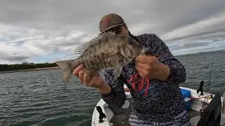 Ловля рыбы мягким пластиком в заливе Мортон