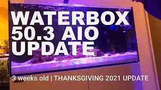 Waterbox 50.3 AIO Thanksgiving Update