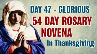 54-дневная Новена Розария, день 47 💜Славные Тайны