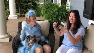 Porchcast 9.30.19 &ndash; Dancing into Fall (Not!)