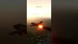 Meet ze Germans in DCS | Tornado IDS