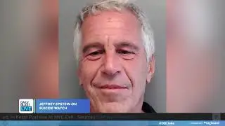 Jeffrey Epstein on Suicide Watch