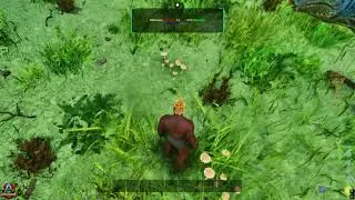 FPS BOOST WS