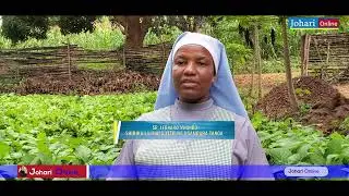 SISTA AELEZA UZURI NA UMUHIMU WA KILIMO HAI  KARIBU 
