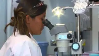 Biomedical Programs Bolster Promising Early-Career Scientists