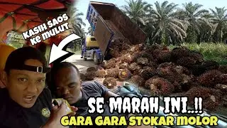 BANGUNIN PAKE SAOS ‼️sopir capek stokar molor..