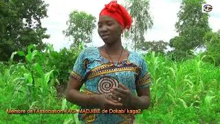 La FONDATION GARBA as organis&eacute; une formation pratique sur les techniques de la plantation de manioc.