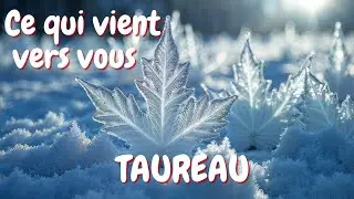 Taureau ♉️ Ce qui vient vers vous | Première quinzaine  du mois Janvier 2026