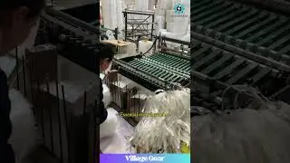 Factory Work: The Skill Behind Plastic Bag Production #factoryworker #production #machine