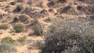 Gypsies moving out of Tizara - 4wd4all