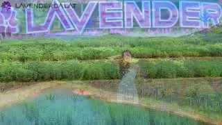 EMBRACE THE SUN LAVENDER | UNFORGETTABLE SUMMER ESCAPES