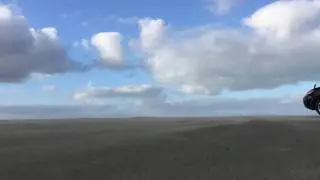 Muriwai Beach, Kaipara Entrance Stuff that Jaffa's don't see everyday - Jan 2017