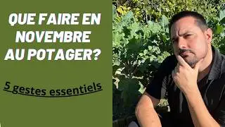 Que Faire au Potager en Novembre ? Nettoyage, Pr&eacute;paration et Astuces !