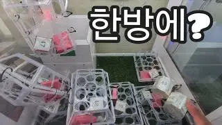 #메인까지? #잠못드는밤뽑기해보고 #구독과좋아요 
