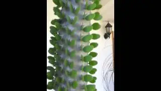 What is this alien tree?