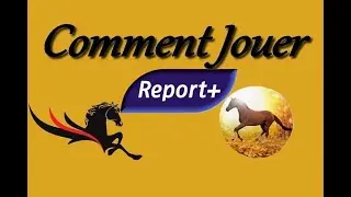 COMMENT JOUER AU REPORT PMU