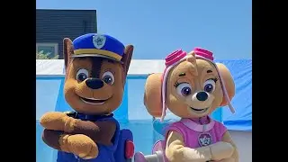 パウパトロール ショー チェイス スカイ | 汪汪隊立大功 表演 阿奇 天天 | PAW Patrol Show Chase Skye